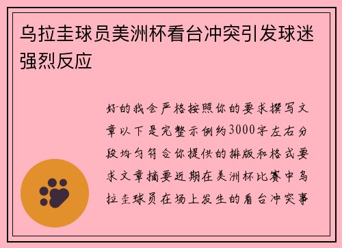 乌拉圭球员美洲杯看台冲突引发球迷强烈反应